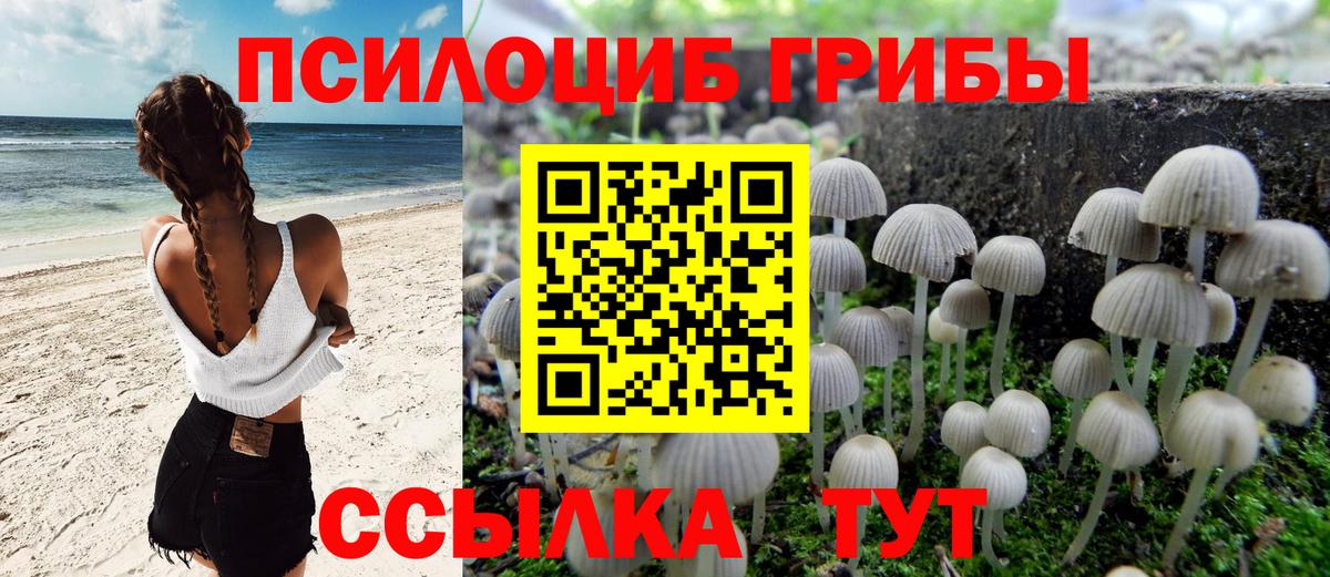 Заринск  Галлюциногенные грибы Psilocybe  купить наркоту  Вход с VPN 