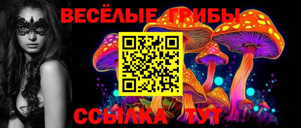 Псилоцибиновые грибы мухоморы Заринск